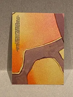 1999 Topps Pokemon The Movie Squirtle Wartortle Blastoise #S9 Sticker Puzzle - Image 2