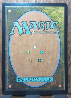 MTG Ishai, Ojutai Dragonspeaker BLOOMBURROW Mythic BORDERLESS PACK FRESH In Hand - Image 2