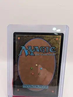 Raph & Leo, Sibling Rivals [Showcase Foil] #249 Magic TMNT - Image 2