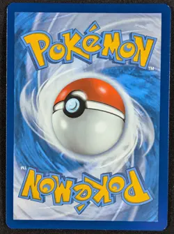Lycanroc 2021 Chilling Reign Holo Rare Pokemon Card 087/198 (NM) - Image 2