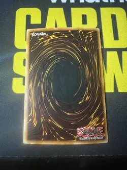 Yu-Gi-Oh! TCG Red-Eyes Black Dragon Holo Rare Card SDJ-001 - Image 2
