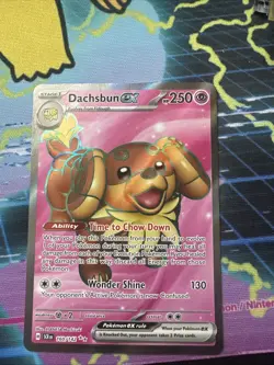 Dachsbun EX 160/142 SV07 Stellar Crown Holo Ultra Rare Pokemon TCG - Image 1