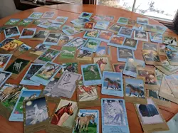 Bella Sara Lot Of Cards Foils Shiny Non Foils W/ Binder - Image 1