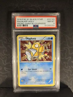 PSA 8 Magikarp XY143 ✨ Pokemon XY Black Star Holo Promo - GRADED - Image 1