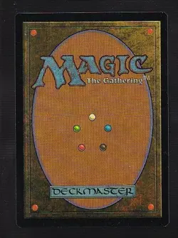 MTG Visions Suleiman's Legacy - Image 2