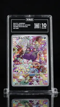 Pokemon Morpeko 076/066 SV Ancient Roar Art Rare TAG Gem Mint 10 Japanese - Image 2