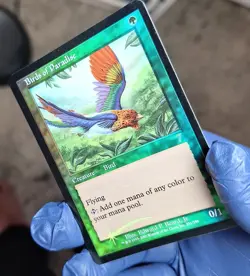 MTG 7th Edition Foil Birds of Paradise (Card A) - Image 3