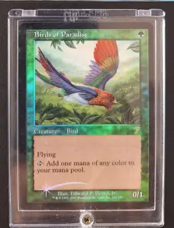 MTG 7th Edition Foil Birds of Paradise (Card A) - Image 4