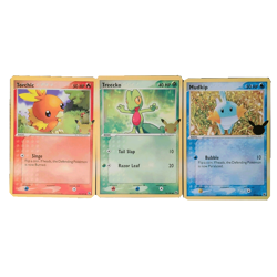 First Partner Pack Hoenn JUMBO OVERSIZED Card Set Torchic Treeko Mudkip - Image 1
