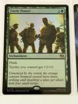 Turtle Power! Teenage Mutant Ninja Turtles Foil 135 - Image 1