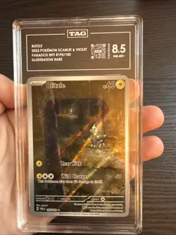 Blitzle 195/182 Illustration Rare 2023 Pokemon S&V Paradox Rift TAG 8.5 NM MT+ - Image 3