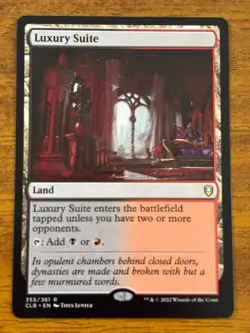 Luxury Suite - Baldur's Gate - MTG - 355/361 - Image 1
