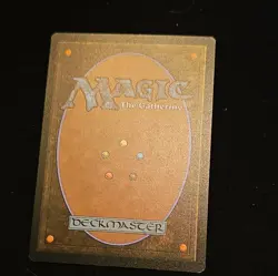 MTG Coat of Arms (Rainbow Foil) Secret Lair NM - Image 2