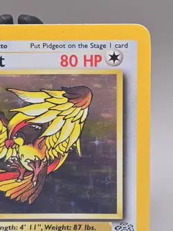 Pidgeot Jungle Set 8/64 Pokemon Card Base WOTC - Image 3