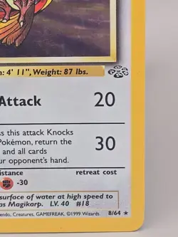 Pidgeot Jungle Set 8/64 Pokemon Card Base WOTC - Image 4