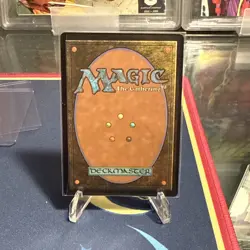 1x Reassembling Skeleton - Foil NM-Mint, English Secret Lair MTG Magic - Image 2