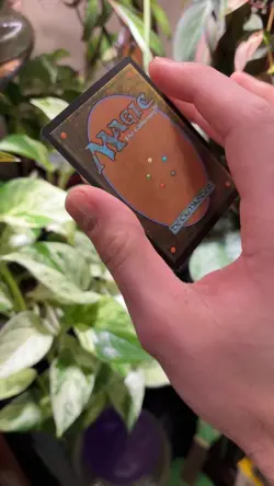 MTG Alter: Swan Song Hand Painted Alter - By GutterWizardAlters - Image 2