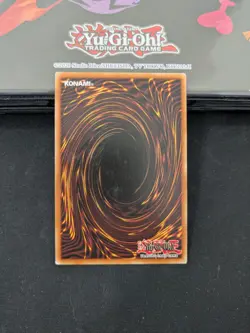 Masked Beast Des Gardius TAEV-ENSE1 Limited Edition (LP) Super Rare - Image 2