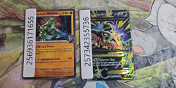 Private lot for hafizinegri2 - Pokemon TCG Cards tyranitar - Image 1