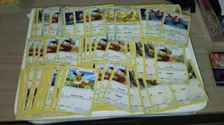 100 x Eevee Pokemon Cards Bundle - NM - - Image 1