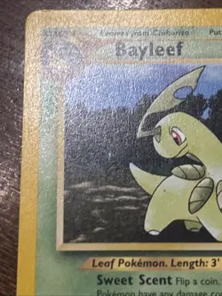 Pokemon TCG Bayleef 29/111 Neo Genesis Regular Uncommon LP - Image 2