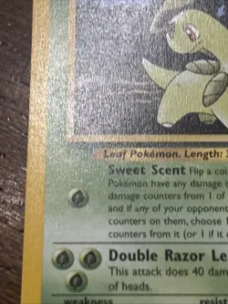 Pokemon TCG Bayleef 29/111 Neo Genesis Regular Uncommon LP - Image 3