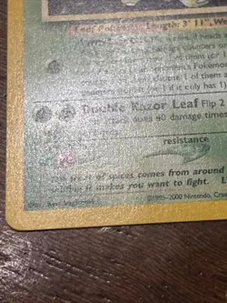 Pokemon TCG Bayleef 29/111 Neo Genesis Regular Uncommon LP - Image 4