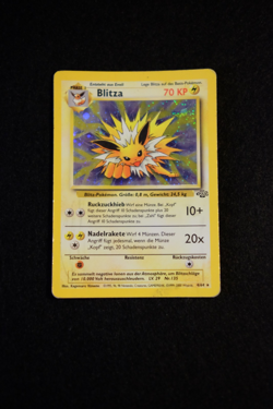 Pokemon Karte Blitza 4/64 Dschungel Holo DE - Image 2