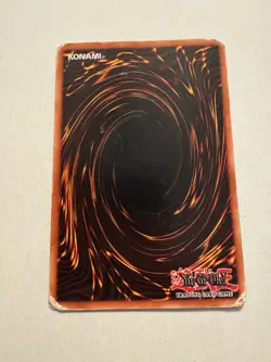 alpha the magnet warrior dor-001 - Image 2