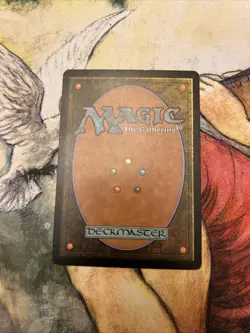 Seedtime Judgment Regular - Image 2