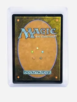 MTG TMNT - Raphael, the Nightwatcher MT/NM - Image 2