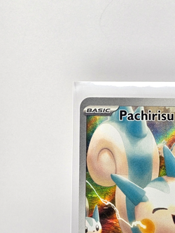 Pokemon Card - Pachirisu (208/198) SV01: Scarlet & Violet Base Set IR Holo - Image 2