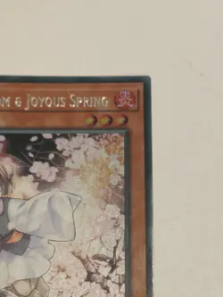 YuGiOh Ash Blossom & Joyous Spring Secret Rare RA01-EN008 - 25th Rarity 1st Ed - Image 4