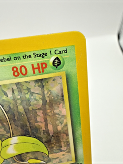Victreebel 14/64 Jungle HOLO Rare Pokemon TCG Card Vintage WOTC - Image 3