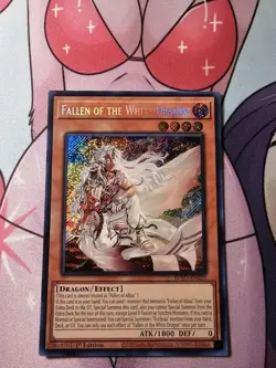YuGiOh! Fallen of the White Dragon (Secret) BPRO-EN024 1st Ed NM Burst Protocol - Image 1