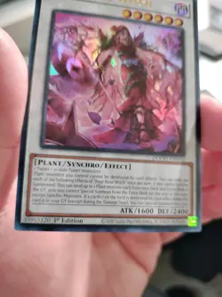 Yugioh Rage Rose Witch DOOD-EN040 Ultra Rare 1st Edition NM - Image 2