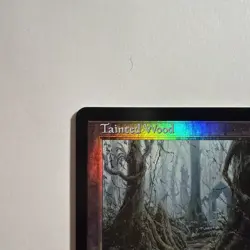 MTG - Tainted Wood - Torment Foil - Image 2