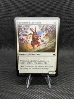 Hinterland Sanctifier Foundations Regular - Image 1