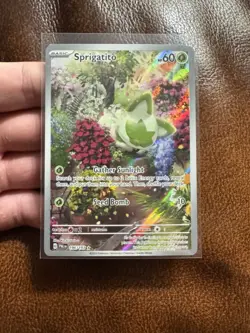 Pokemon TCG Sprigatito 196/193 Sv02: Paldea Evolved Illustration Rare Near Mint - Image 3