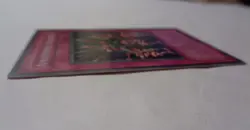 Amazoness Archers MFC-096 (Super Rare, 1st Edition, Lightly Played / LP) Yugioh - Image 3