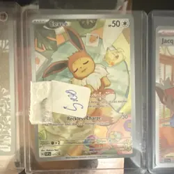 Pokemon Charizard, Mimikyu EX, Eevee, Jacq, Swinub Holo Promo Lot - 10 Cards - Image 5