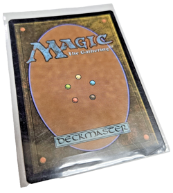 Forest (276) Innistrad: Midnight Hunt Foil - Image 2