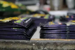 60 Packs Pokemon TCG Trick or Trade Booster Packs 2024 Halloween Card Lot Bundle - Image 4
