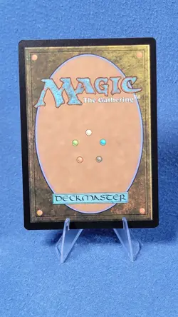 MTG Mikey & Leo, Chaos & Order Borderless 0200 TMNT TMT NM - Image 2