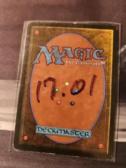 Adarkar Wastes Ice Age MTG Magic the Gathering - Image 2