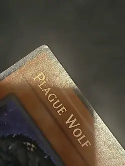 yugioh Plague Wolf FOTB-EN065 Secret Rare 1st Edition SEE PICTURES 💥 - Image 3