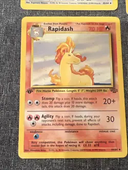 Lot Of 4 Pokemon Jungle 1st Edition Cards Persian(2)/Rapidash/Tauros - Image 4