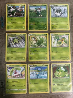 Pokemon TCG Grass And Bug Type Cards Set Of 9 - Image 1