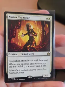 Auriok Champion Iconic Masters Regular - Image 1