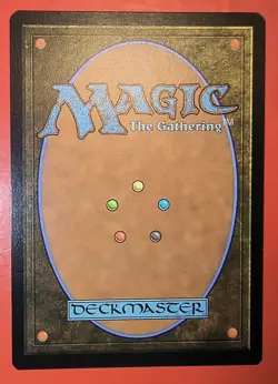 MTG: MAGIC- FESTERING GULCH, OTJ, #0257, REGULAR FINISH, COMMON, NM, LAND - Image 2